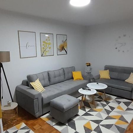 Cozy And Sunny Apartment Near The Airport Szarajevó Kültér fotó
